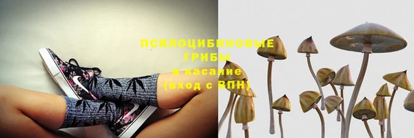 первитин Белокуриха