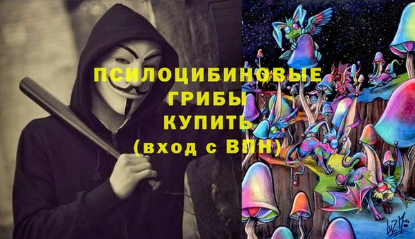 первитин Белокуриха