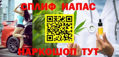 стаф Камышлов