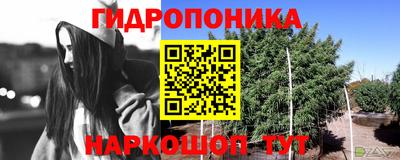 ECSTASY Абакан
