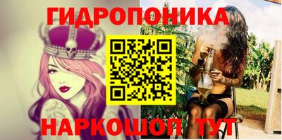 стаф Камышлов