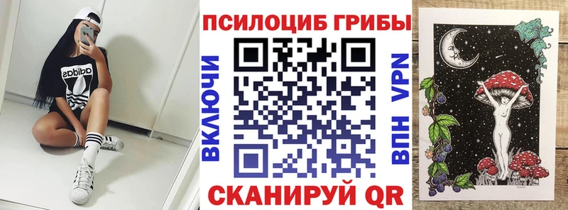 магазин  наркотиков  Бутурлиновка  KRAKEN ссылки  Галлюциногенные грибы прущие грибы 