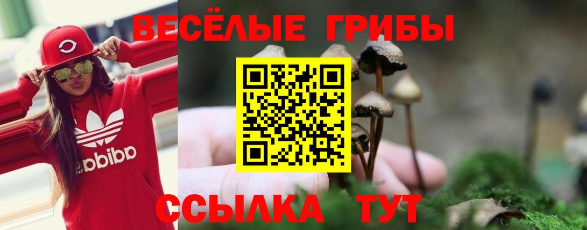 Галлюциногенные грибы ЛСД  Вход с VPN  где найти наркотики  Бутурлиновка 